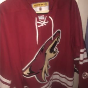 Authentic coyotes jersey signed